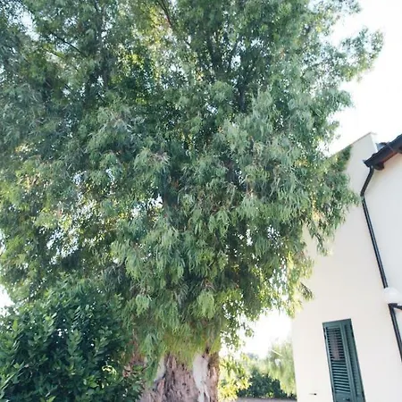 Bed and Breakfast Villetta Fiore *